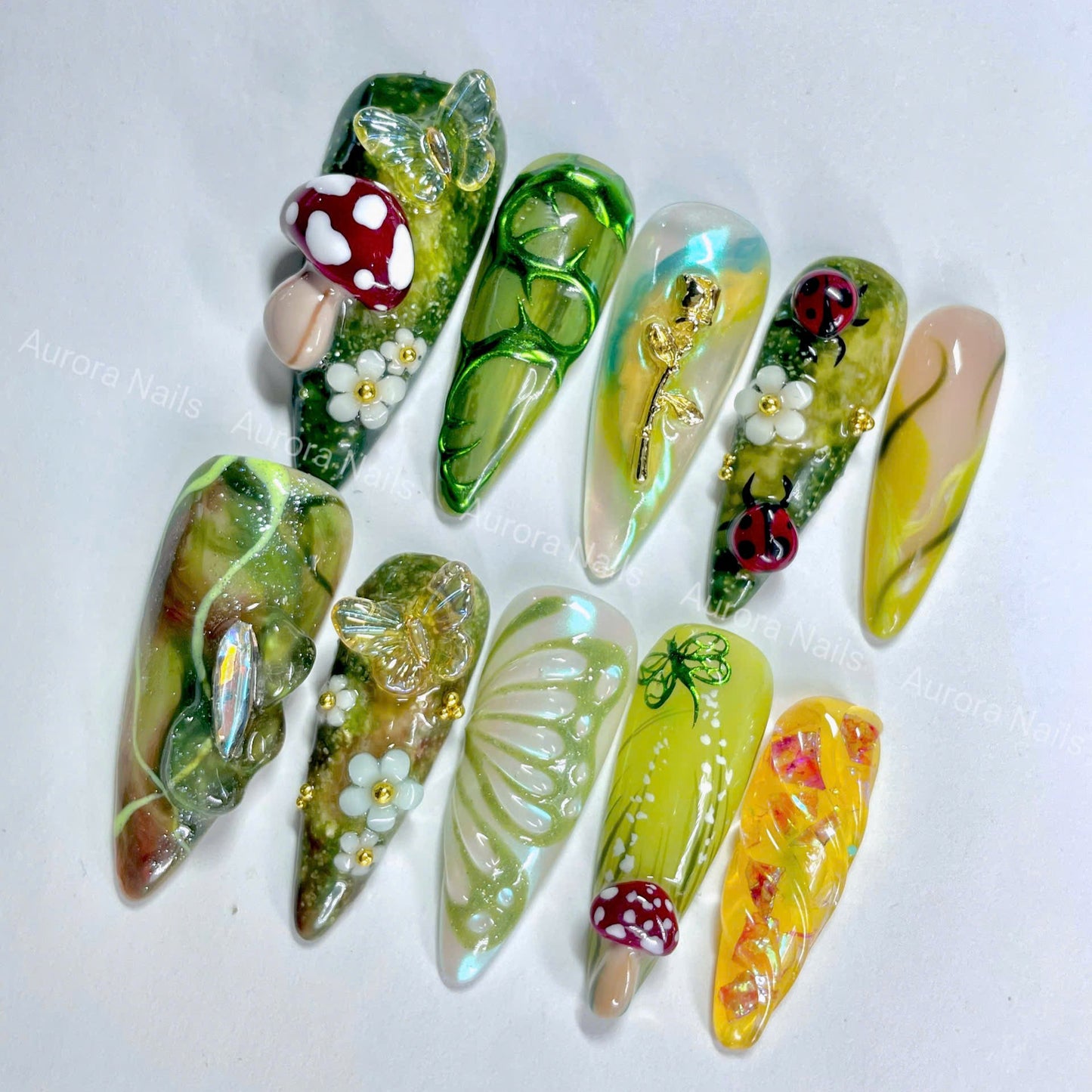 “Enchanted Forest AR00018