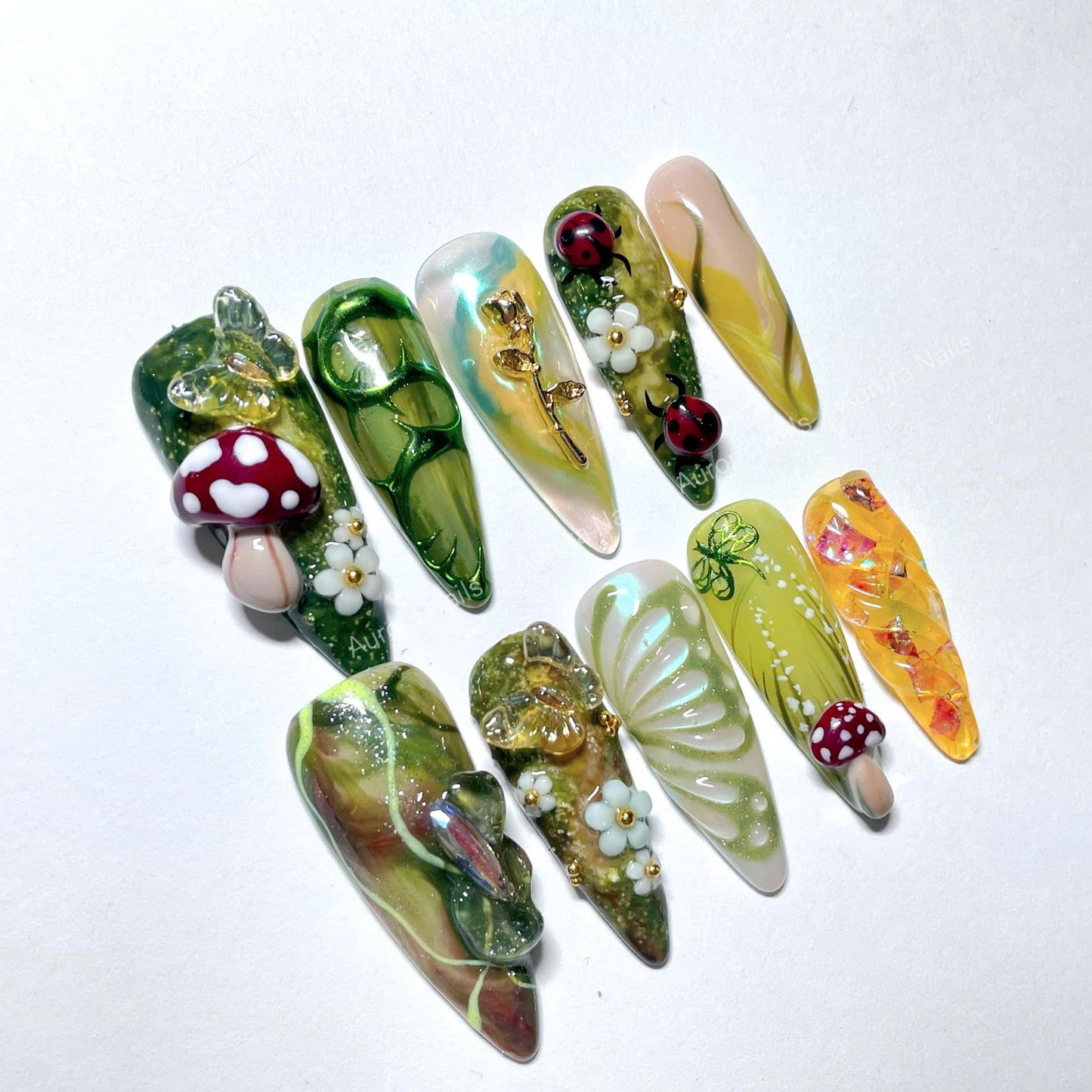 “Enchanted Forest AR00018