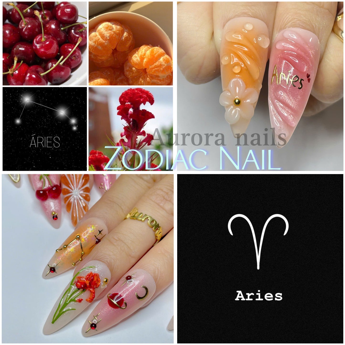 Aries AR00082